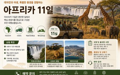 아프리카 11일