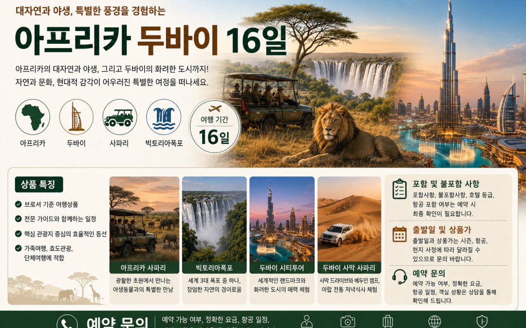 아프리카 두바이 16일