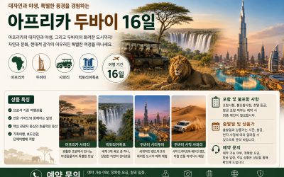 아프리카 두바이 16일