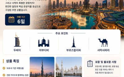 두바이 아부다비 6일