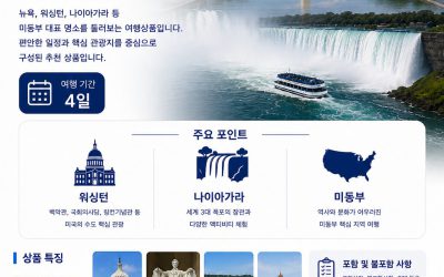 미동부 워싱턴 나이아가라 4일