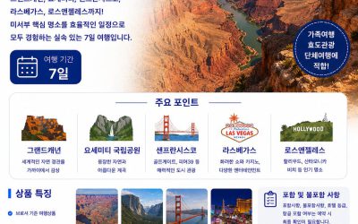 미서부 실속 7일