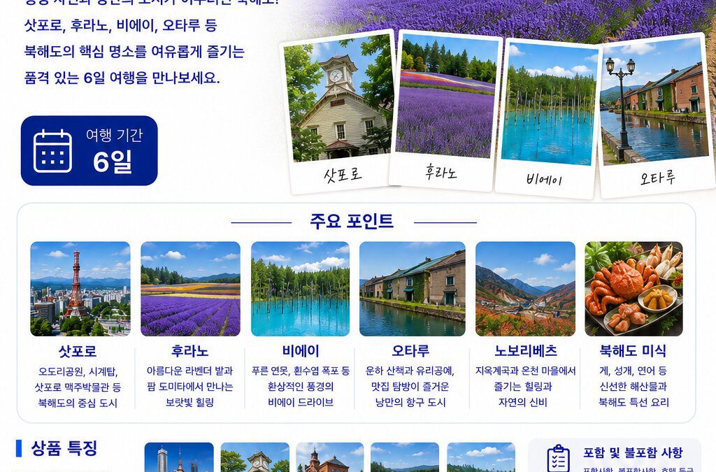 북해도 프리미엄 6일