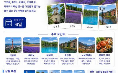 북해도 프리미엄 6일